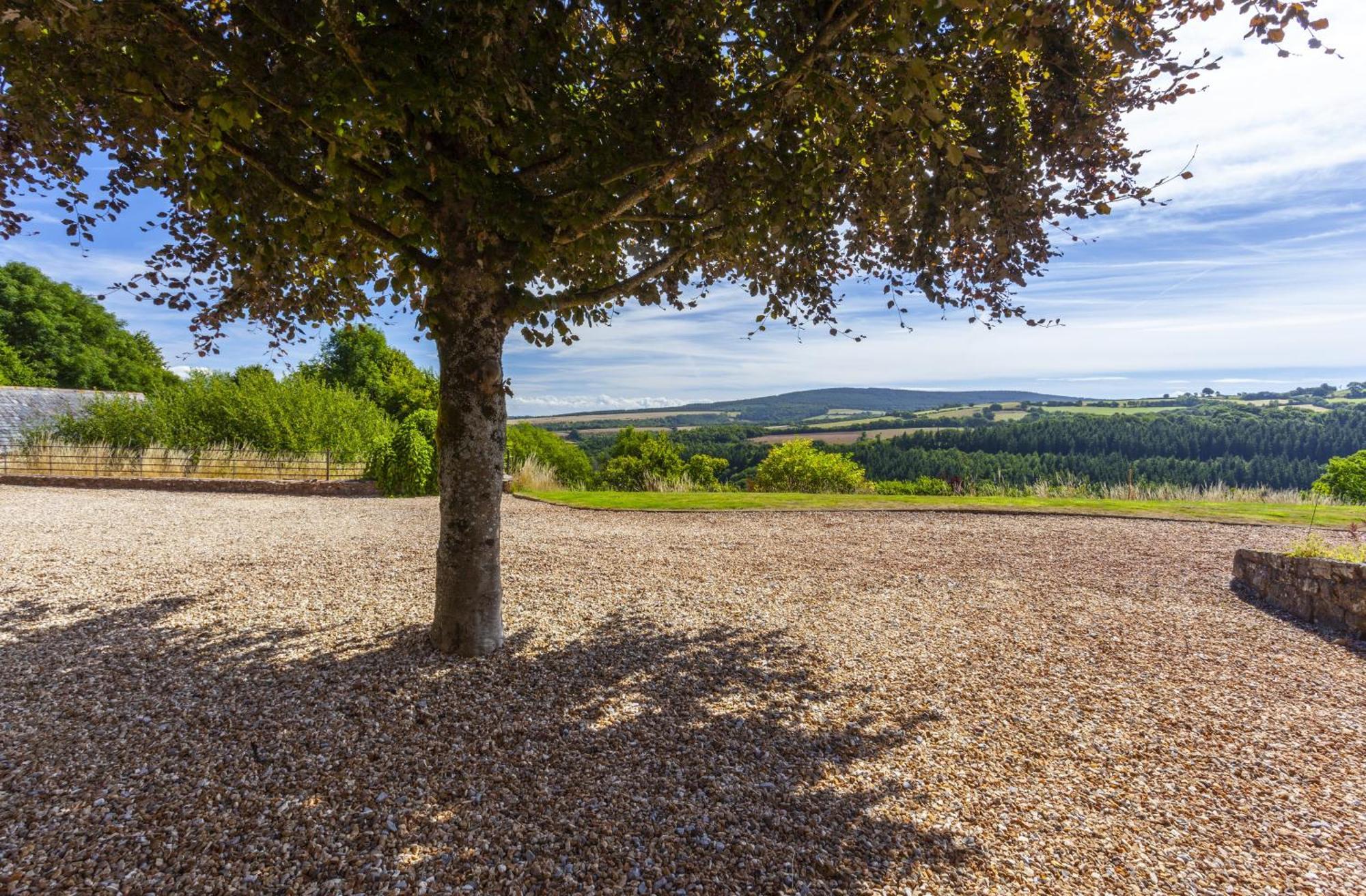 East Harwood Farm Cottage Minehead Ngoại thất bức ảnh